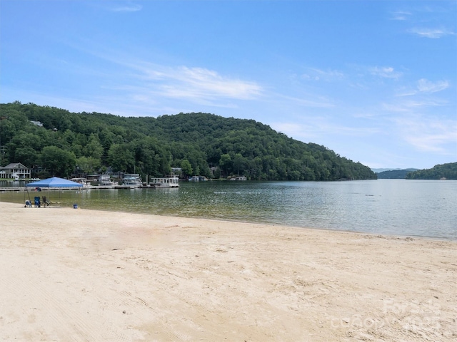 155 Quail Cove Rd Unit 1601, Lake Lure, NC 28746 - water view featuring a heavily wooded area