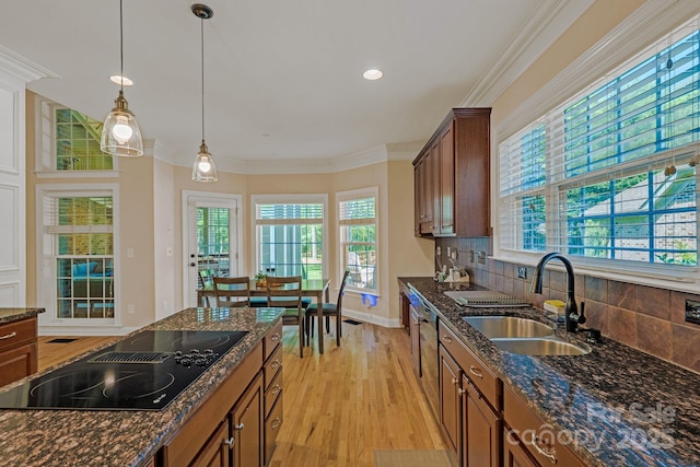 kitchen with pendant lighting, a healthy amount of sunlight, black electric cooktop, a sink, and light wood finished floors