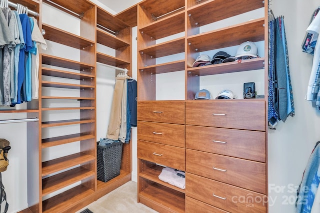 view of walk in closet