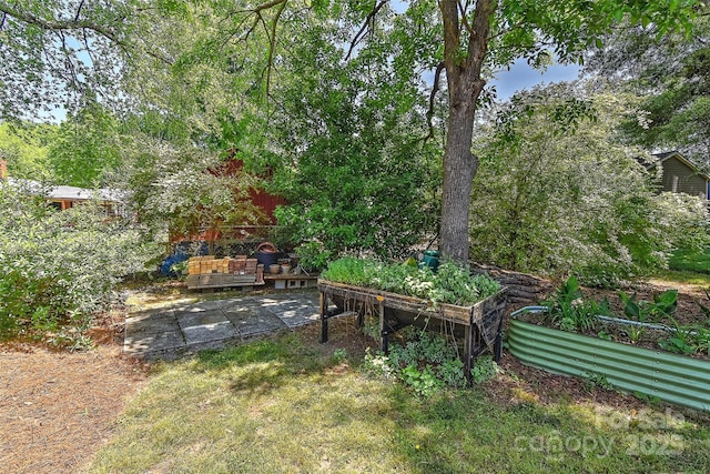 385 Gum Branch Rd, Charlotte, NC 28214 - view of yard with a garden and a wooden deck