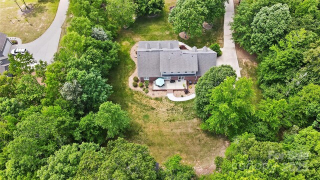 bird's eye view