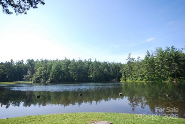 999 Lakewood Dr, Cedar Mountain, NC 28718 - photo 31