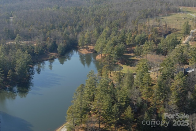999 Lakewood Dr, Cedar Mountain, NC 28718 - photo 32