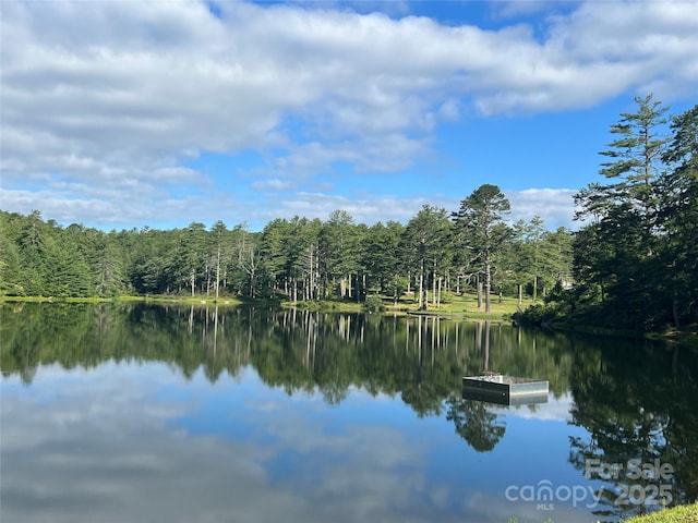 999 Lakewood Dr, Cedar Mountain, NC 28718 - photo 34