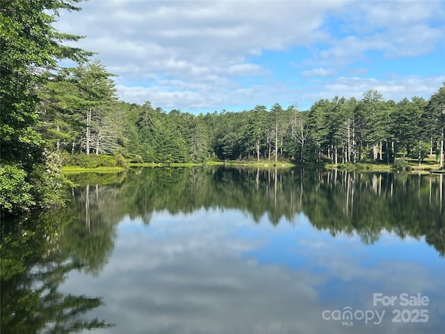 999 Lakewood Dr, Cedar Mountain, NC 28718 - photo 36