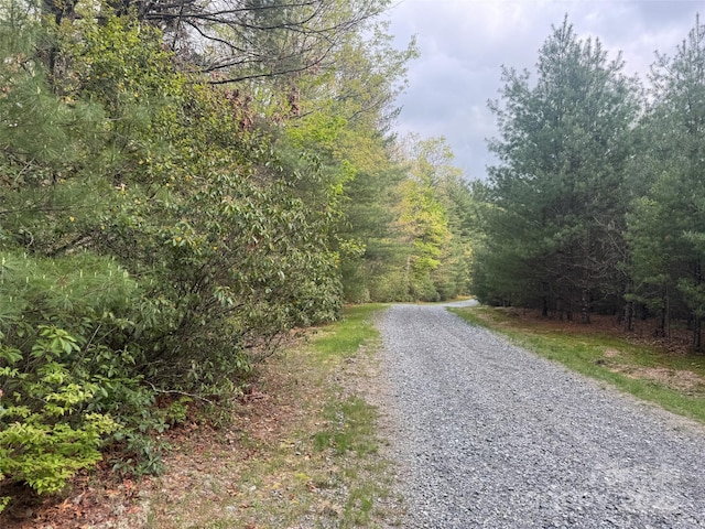 999 Lakewood Dr, Cedar Mountain, NC 28718 - photo 15