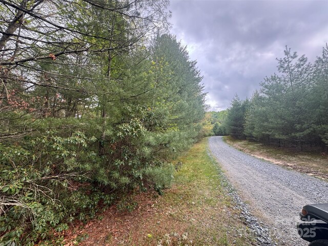 999 Lakewood Dr, Cedar Mountain, NC 28718 - photo 17
