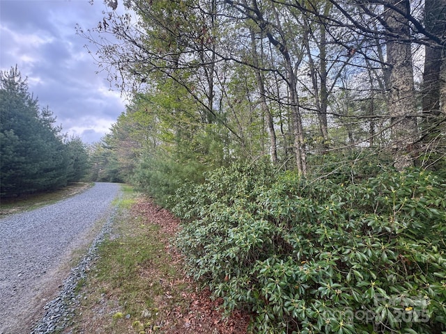 999 Lakewood Dr, Cedar Mountain, NC 28718 - photo 18