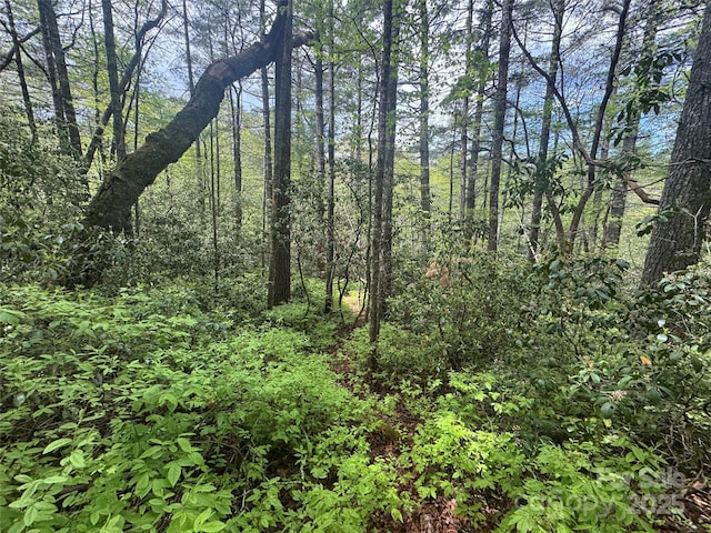 999 Lakewood Dr, Cedar Mountain, NC 28718 - photo 22