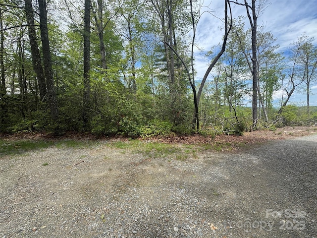 999 Lakewood Dr, Cedar Mountain, NC 28718 - photo 24