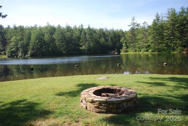 999 Lakewood Dr, Cedar Mountain, NC 28718 - photo 26