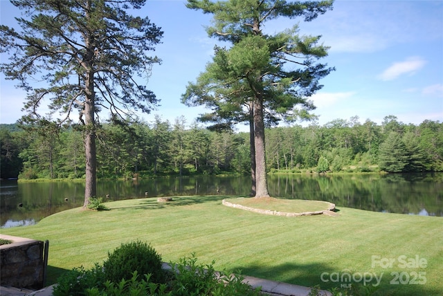 999 Lakewood Dr, Cedar Mountain, NC 28718 - photo 27