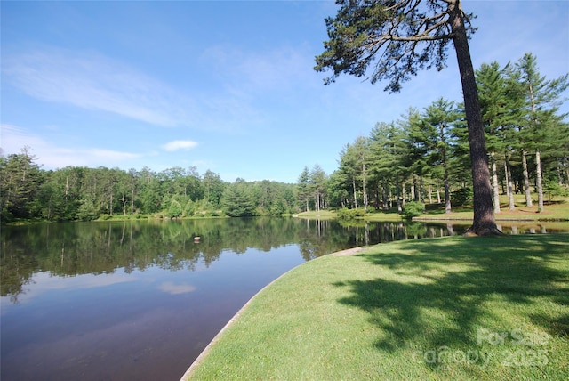 999 Lakewood Dr, Cedar Mountain, NC 28718 - photo 28