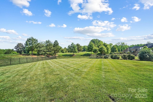 1005 Grand Oak Dr, Waxhaw, NC 28173 - view of yard