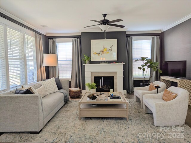 living room with ornamental molding, a healthy amount of sunlight, and a fireplace