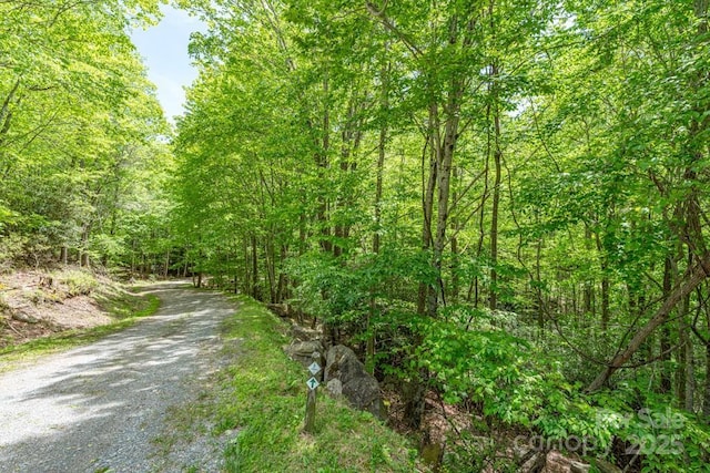 301 Jackpine Rd, Beech Mountain, NC 28604