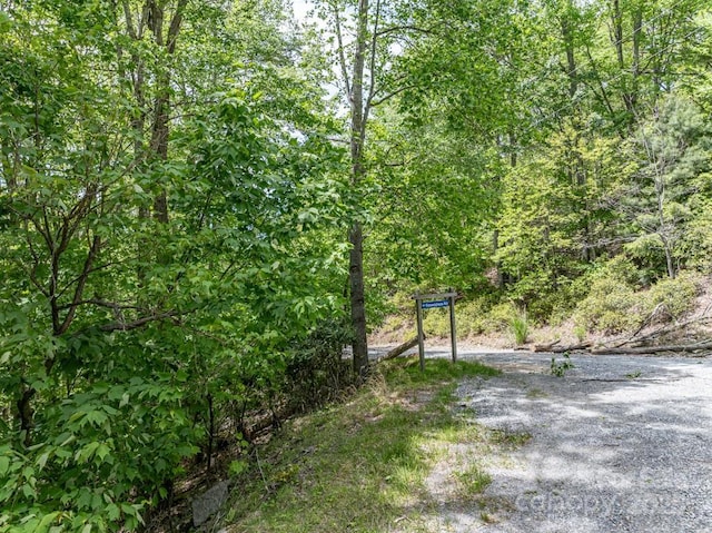 301 Jackpine Rd, Beech Mountain, NC 28604
