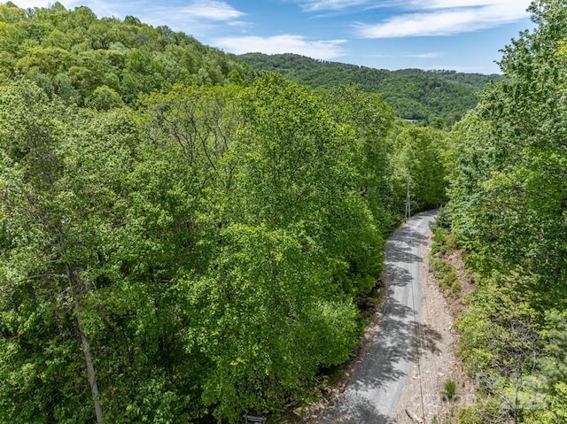 301 Jackpine Rd, Beech Mountain, NC 28604