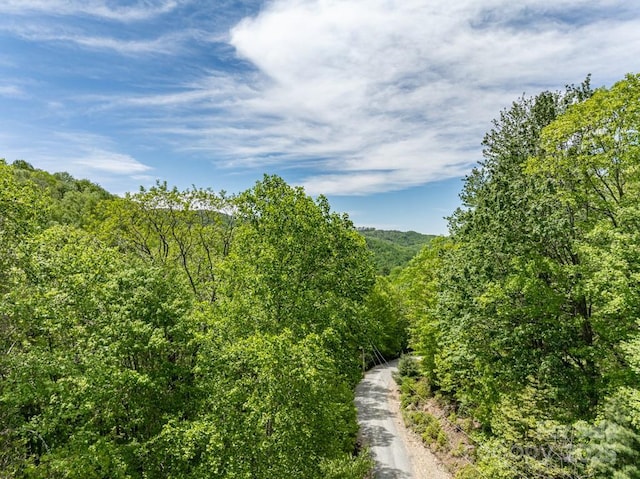 301 Jackpine Rd, Beech Mountain, NC 28604
