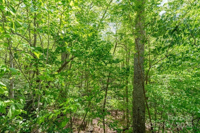 301 Jackpine Rd, Beech Mountain, NC 28604