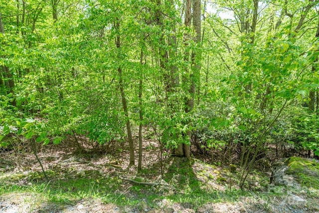 301 Jackpine Rd, Beech Mountain, NC 28604