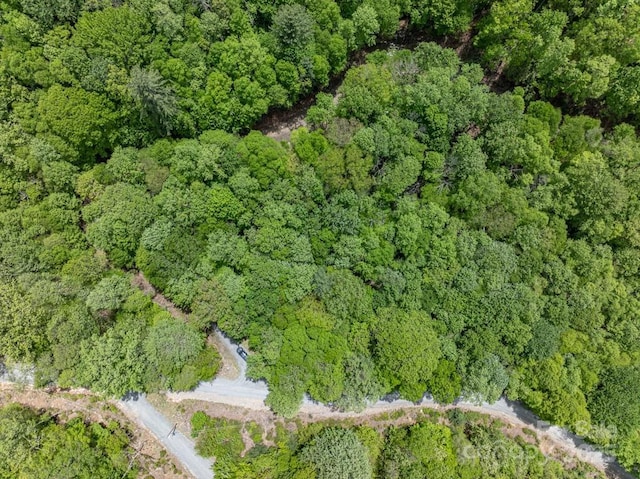 301 Jackpine Rd, Beech Mountain, NC 28604