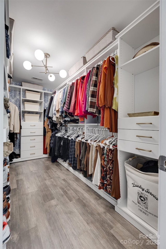 spacious closet with visible vents and wood finished floors