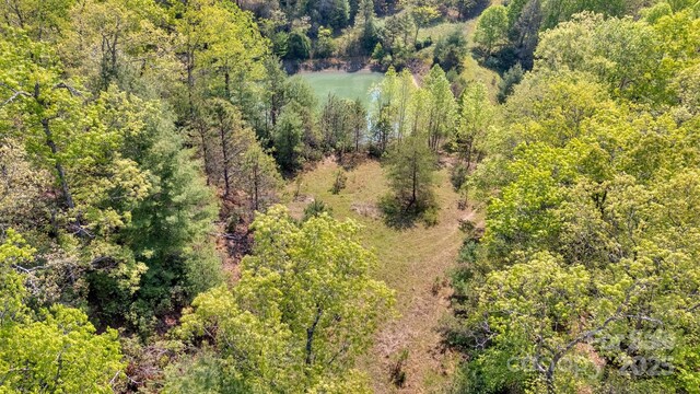 630 Stonefly Dr, Horse Shoe, NC 28742 - photo 2