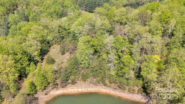 630 Stonefly Dr, Horse Shoe, NC 28742 - photo 4