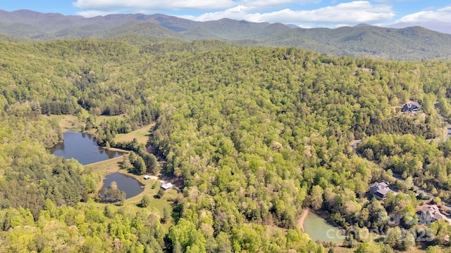 630 Stonefly Dr, Horse Shoe, NC 28742 - photo 6