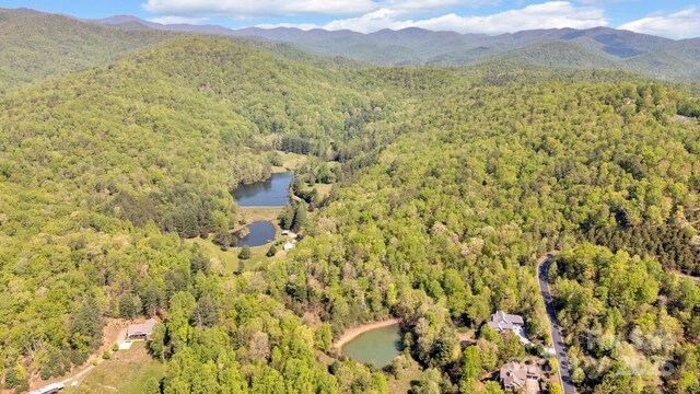 630 Stonefly Dr, Horse Shoe, NC 28742 - photo 7
