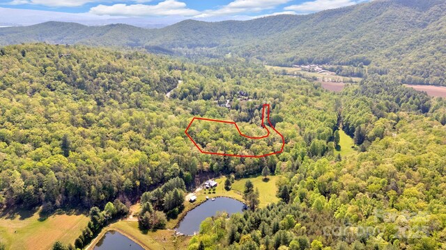 630 Stonefly Dr, Horse Shoe, NC 28742 - photo 8
