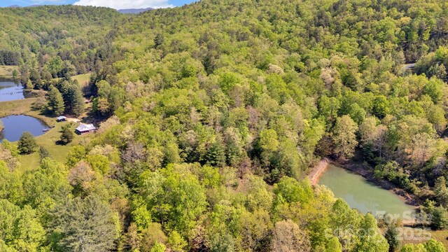 630 Stonefly Dr, Horse Shoe, NC 28742 - photo 9