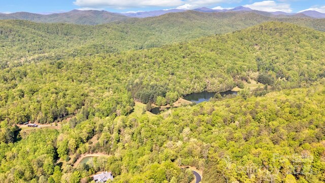 630 Stonefly Dr, Horse Shoe, NC 28742 - photo 10