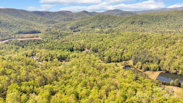 630 Stonefly Dr, Horse Shoe, NC 28742 - photo 12