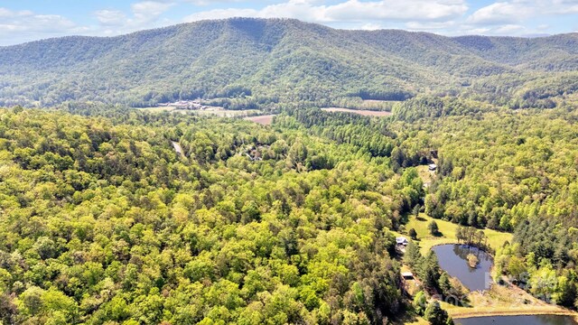 630 Stonefly Dr, Horse Shoe, NC 28742 - photo 13