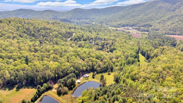 630 Stonefly Dr, Horse Shoe, NC 28742 - photo 14