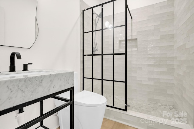 124 Clipper Ln, Mooresville, NC 28117 - bathroom with a stall shower, toilet, vanity, and wood finished floors