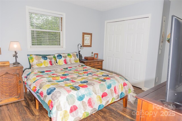 bedroom featuring a closet and wood finished floors