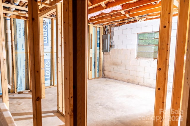 basement with concrete block wall and electric panel