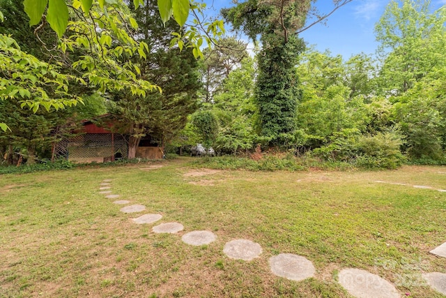view of yard