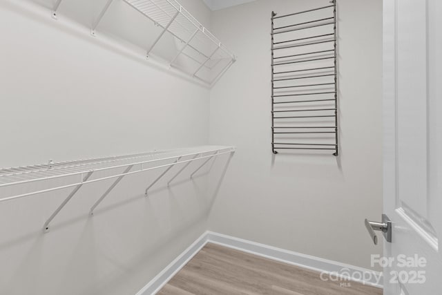 spacious closet with light wood finished floors