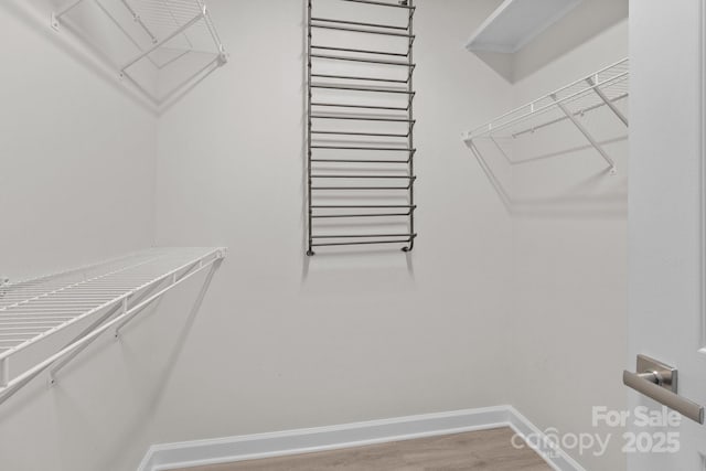 walk in closet featuring light wood-style floors