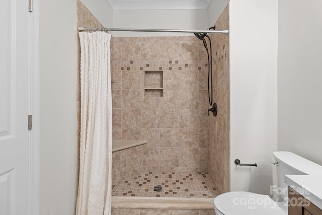 full bathroom with vanity, toilet, and a stall shower