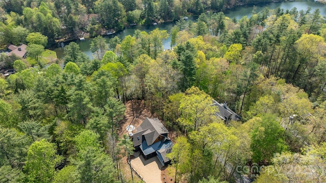 bird's eye view featuring a water view and a forest view