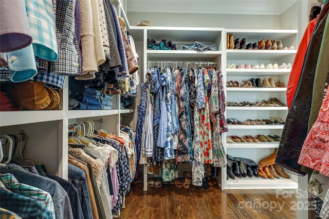 walk in closet with wood finished floors