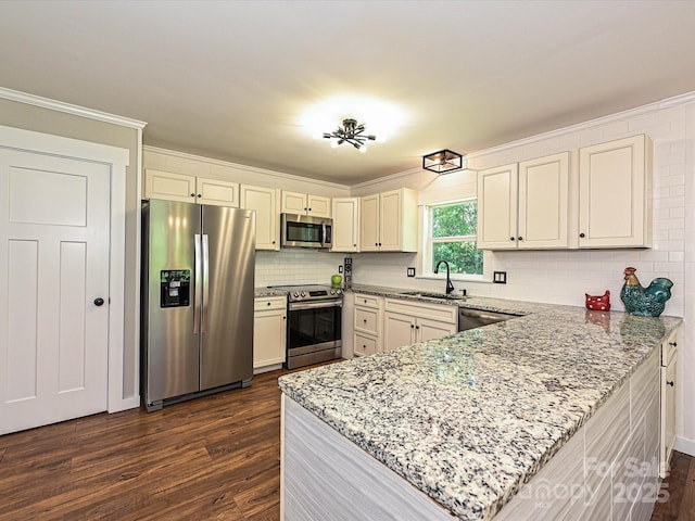 kitchen featuring a sink, stainless steel appliances, a peninsula, and dark wood-type flooring