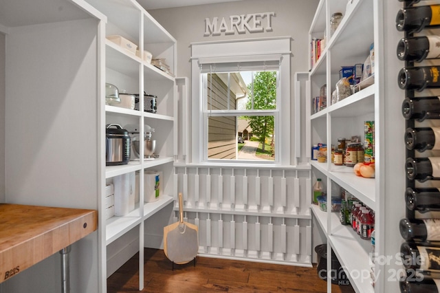 view of pantry