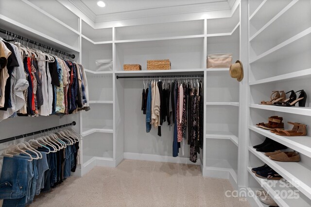 spacious closet with carpet floors