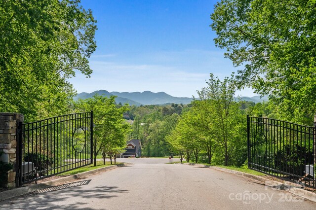 7 Grizzly Dr, Leicester, NC 28748 - photo 39